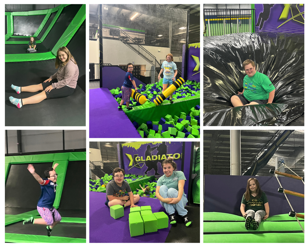 Children with Down syndrome and their families enjoy an inclusive DSAW community event.